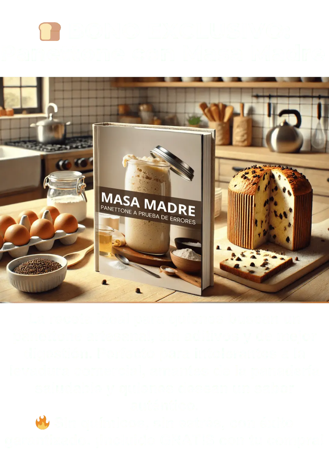 BONO_MASA MADRE